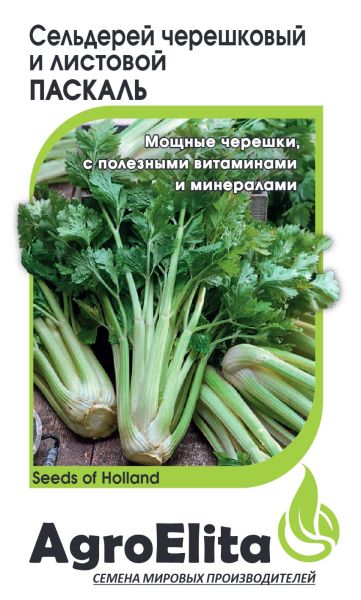 Семена Сельдерей черешковый Паскаль 0,2 г Агроэлита