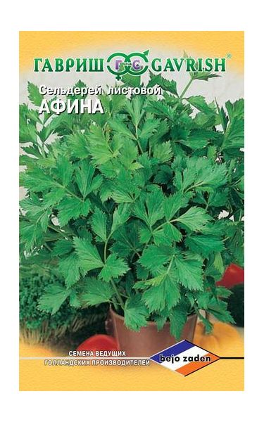 Семена Сельдерей листовой Афина 0,1 г Голландия