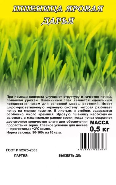 Семена Пшеница яровая Дарья сидерат 0,5 кг