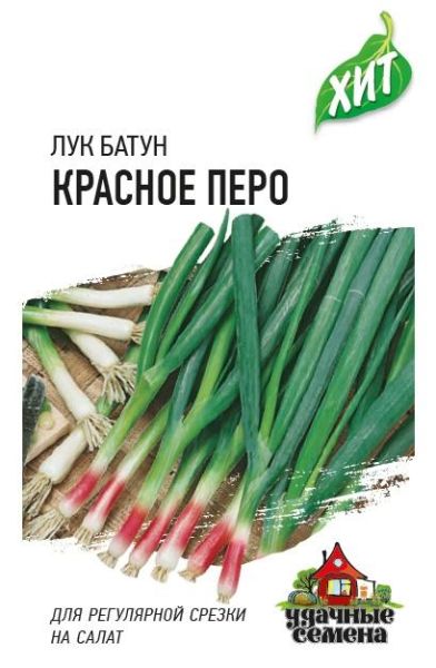 Семена Лук на зелень Красное перо 0,5 г ХИТ х3