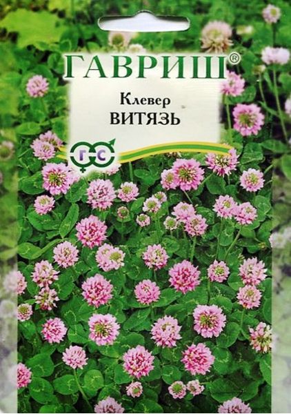 Семена Клевер Витязь луговой 0,5 кг