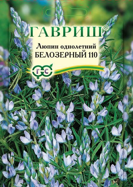 Семена Люпин Белозерный 110 сидерат 1 кг