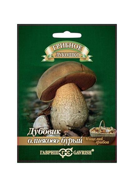 Мицелий Дубовик оливково-бурый 15 мл