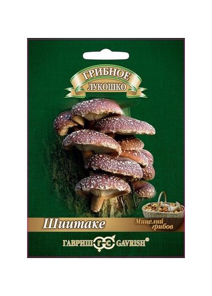 Мицелий Шиитаке 12 шт