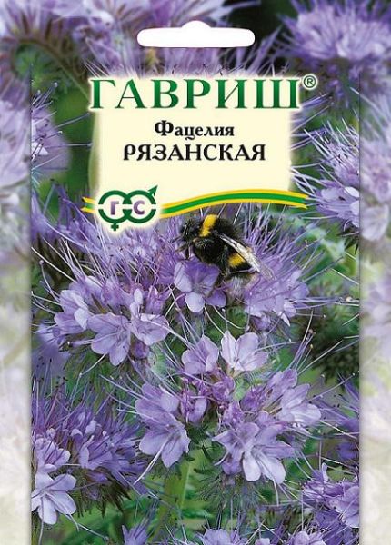 Семена Фацелия Рязанская 20 г
