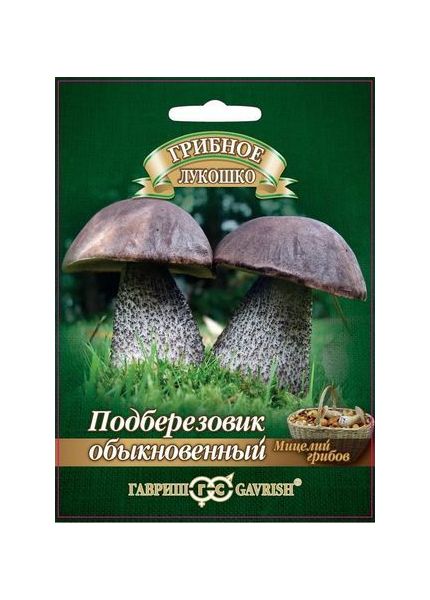 Мицелий Подберезовик 15 мл