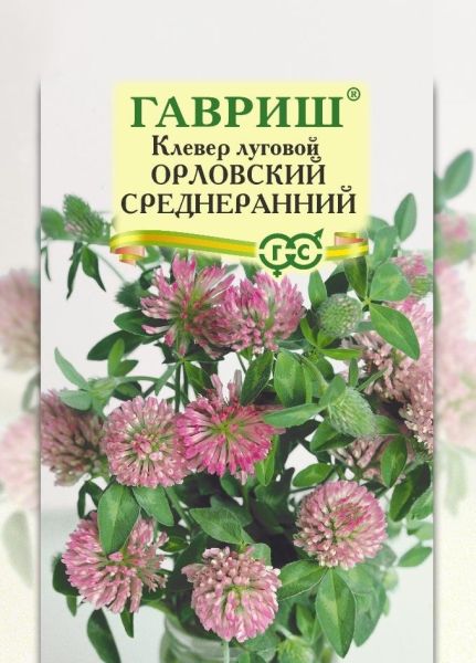 Семена Клевер луговой Орловский среднеранний сидерат 20 г