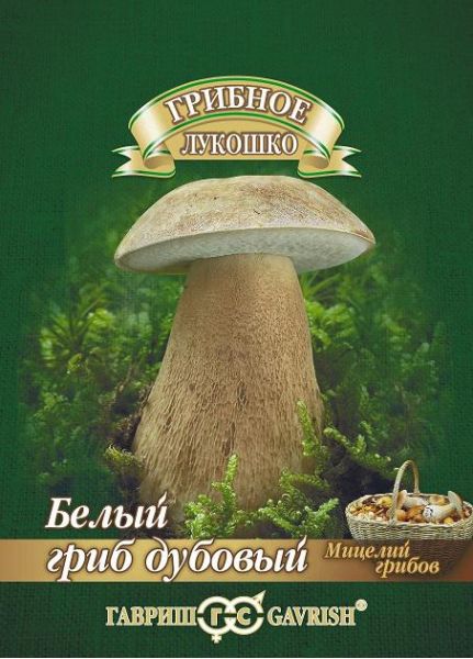 Мицелий Белый гриб Дубовый 15 мл