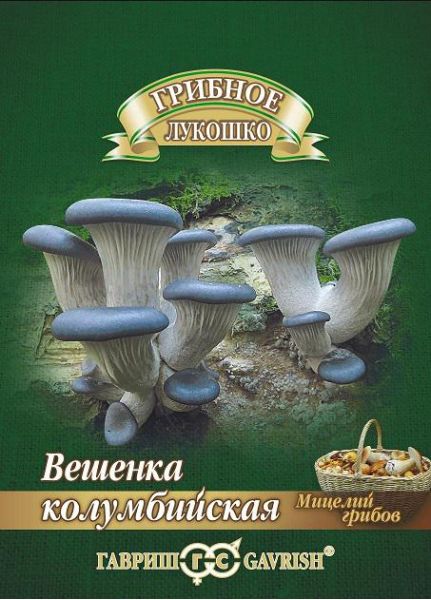 Мицелий Вешенка Колумбийская 12 шт, изображение 2