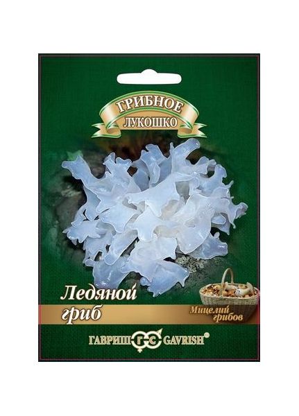 Мицелий Ледяной гриб Тремелла 12 шт