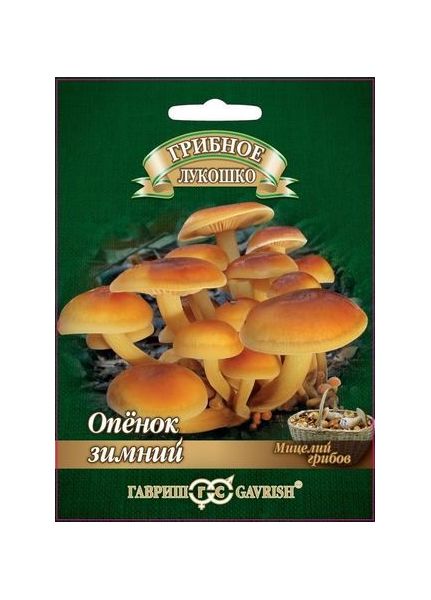 Мицелий Опенок зимний 12 шт