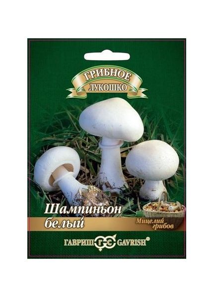 Мицелий Шампиньон Белый 15 мл