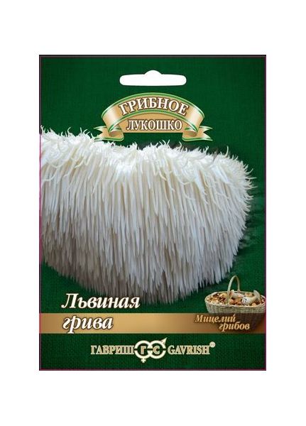 Мицелий Ямабуши Львиная грива 12 шт, изображение 2