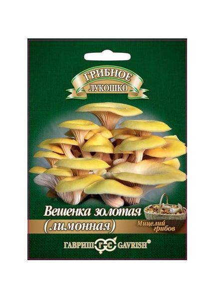 Мицелий Вешенка золотая Лимонная 12 шт