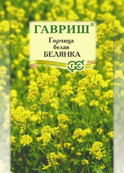Семена Горчица белая Белянка сидерат 0,5 кг