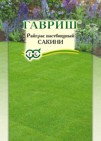 Семена Райграс пастбищный Сакини 20 г