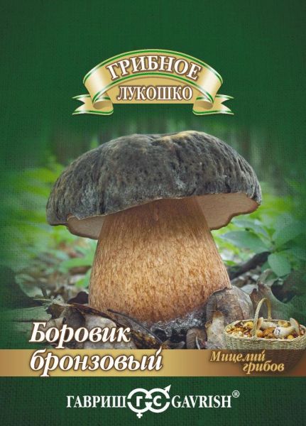 Мицелий Боровик Бронзовый гриб 15 мл