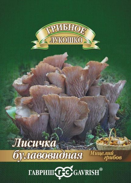 Мицелий Лисичка Булавовидная 15 мл