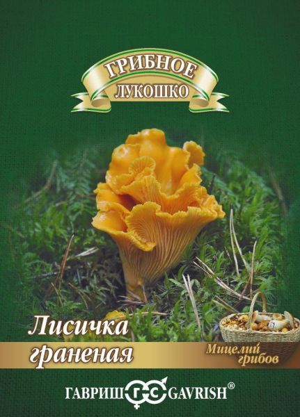 Мицелий Лисичка Граненая 15 мл