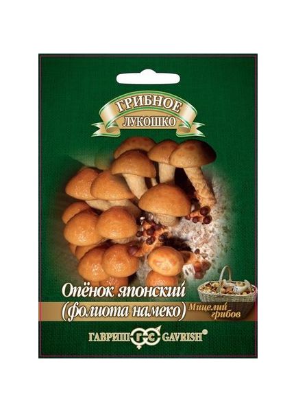 Мицелий Опенок японский Фолиото намеко 12 шт