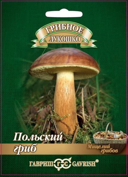 Мицелий Польский гриб 15 мл