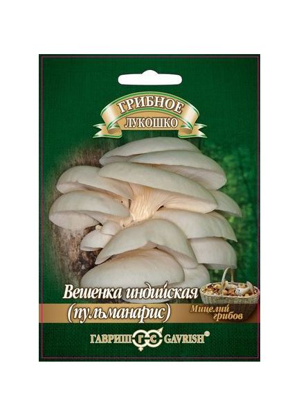 Мицелий Вешенка индийская Пульмонарис 12 шт