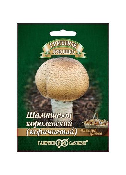 Мицелий Шампиньон Королевский 15 мл