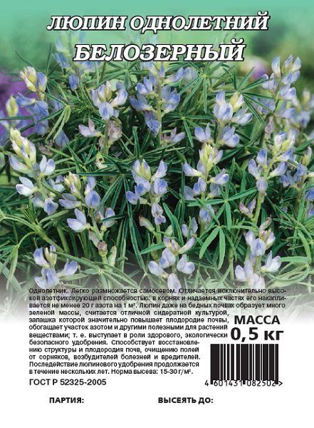 Семена Люпин Белозерный 110 сидерат 0,5 кг