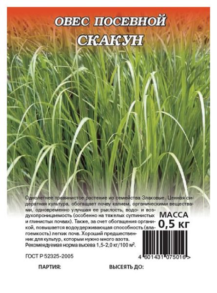 Семена Овес посевной Скакун 0,5 кг