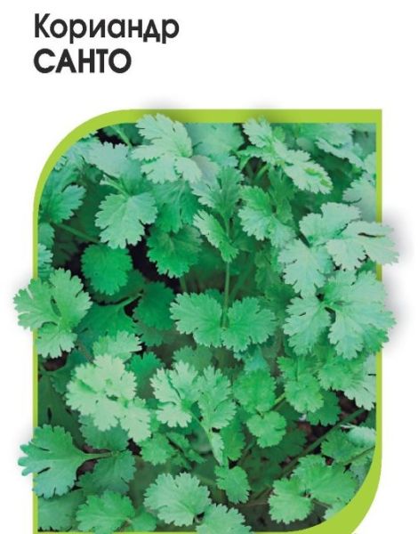Кориандр Санто 10,0 г (Саката)