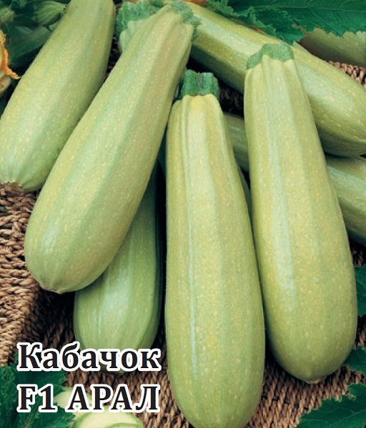 Кабачок Арал F1 100 шт. (Саката)