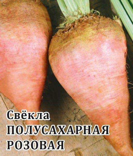 Свекла Полусахарная розовая 0,5 кг