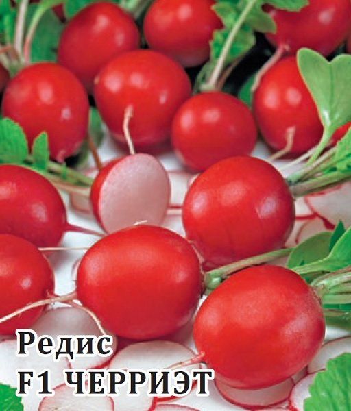 Редис Черриэт F1 1000 шт. (Саката)