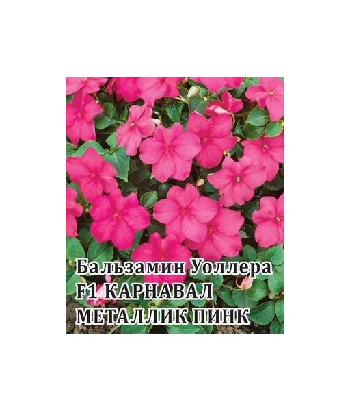 Бальзамин Карнавал Металик Пинк F1 (Уоллера) 100 шт.*  сер. Профи