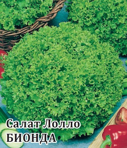 Салат Лолло Бионда листовой, зеленый 10,0 г
