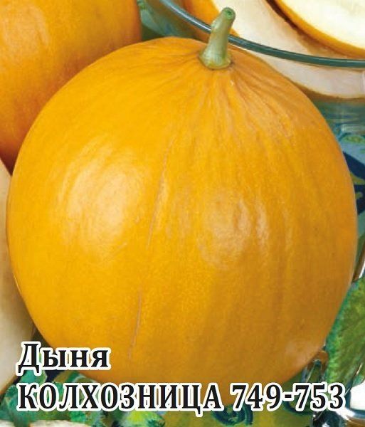 Дыня Колхозница 749/753 25,0 г