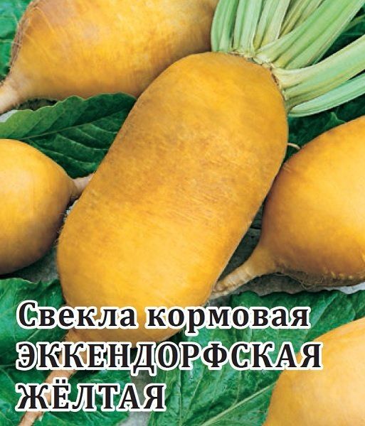 Свекла Эккендорфская  желтая кормовая 20,0 г