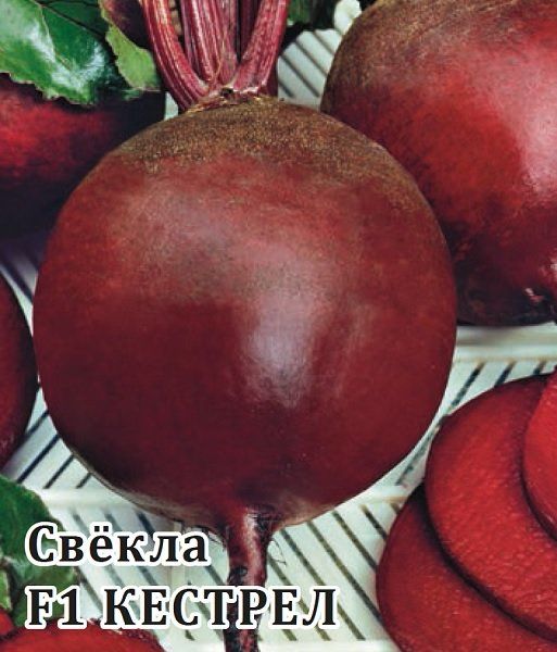 Свекла Кестрел F1 25 г (Саката)