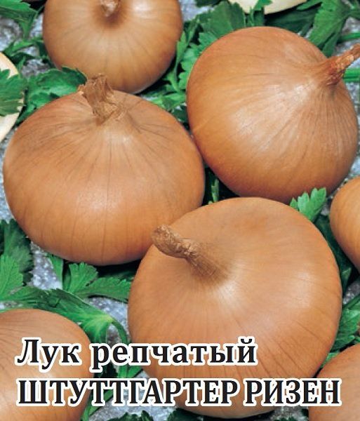 Лук репч. Штуттгартер Ризен 25,0 г