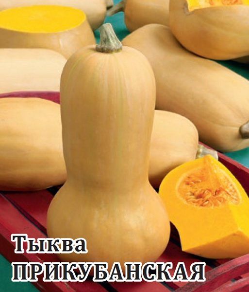 Тыква Прикубанская, мускатная 100,0 г