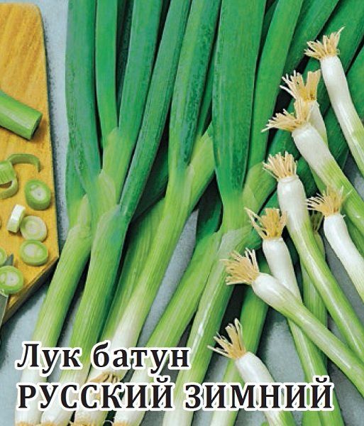 Семена Лук батун Русский зимний 50 г