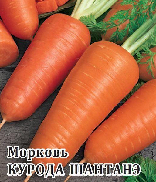 Морковь Курода Шантанэ 25,0 г