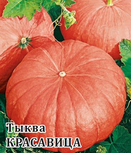 Тыква Красавица 100,0 г