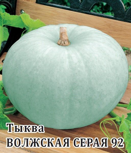 Тыква Волжская серая  92 100 г