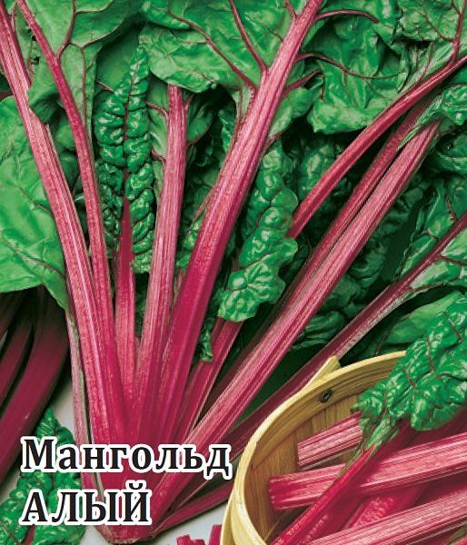 Мангольд Алый 25,0 г
