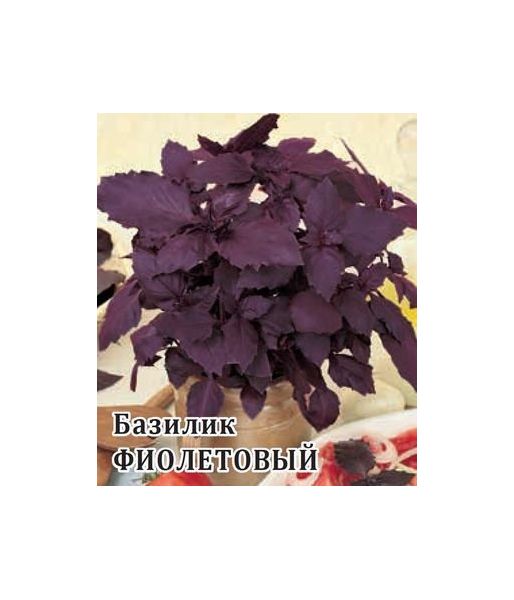 Семена Базилик Фиолетовый 50 г