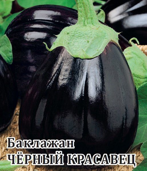 Баклажан Черный красавец 25,0 г