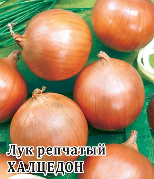 Семена Лук репчатый Халцедон 50 г