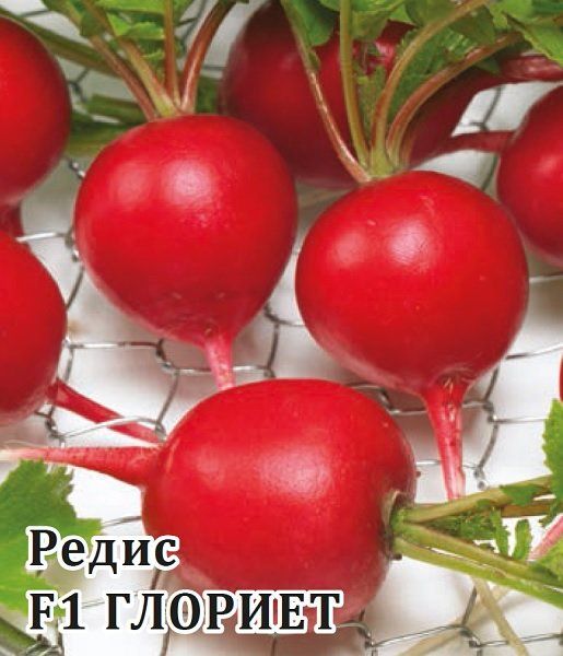 Редис Глориет F1 1000 шт. (Саката)