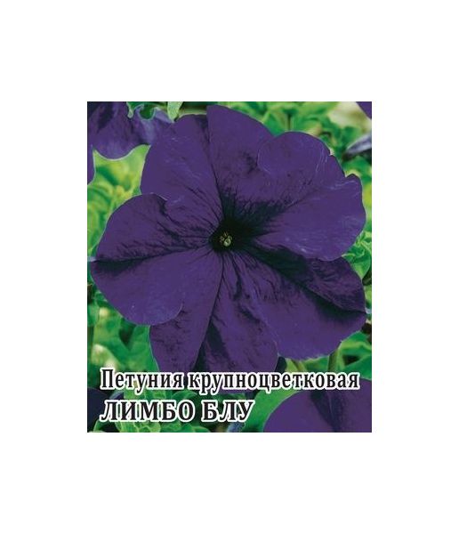Петуния Лимбо Блу крупноцв. 100 шт.